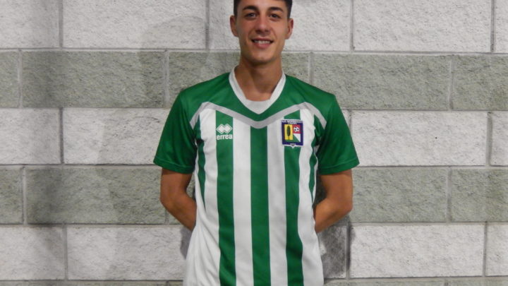 Simone Bertin