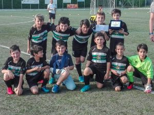 Pulcini 2009