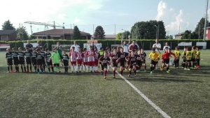 Pulcini 2009