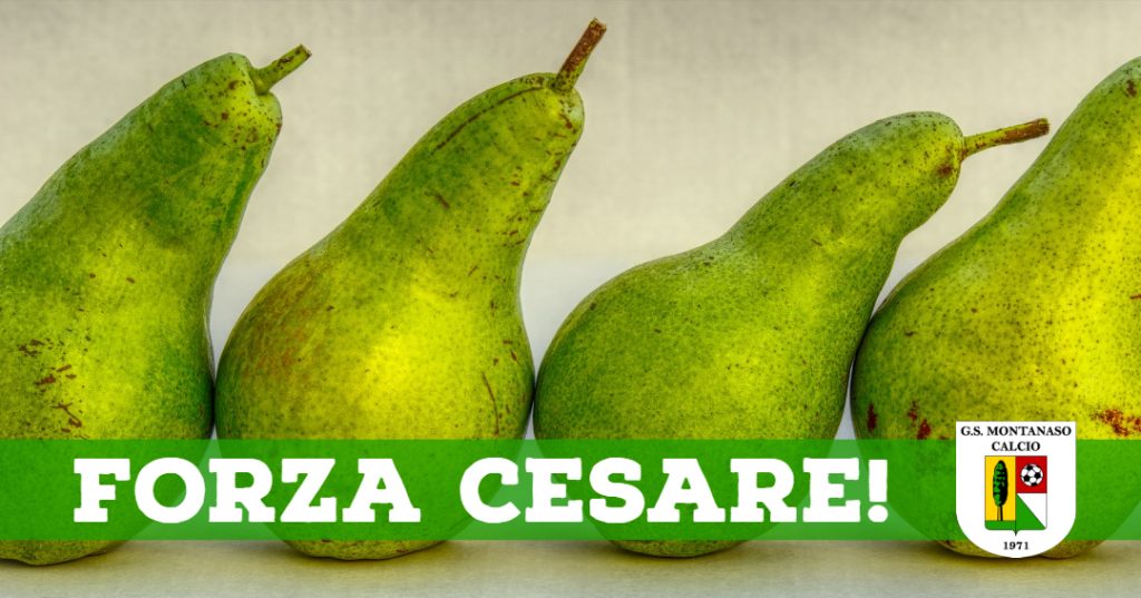 Forza Cesare
