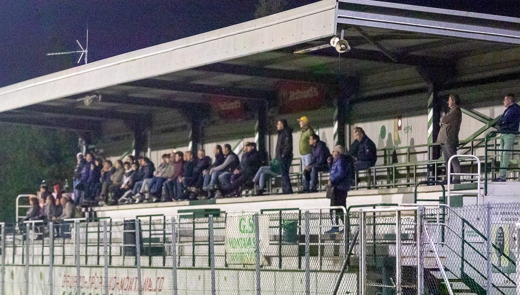 Il pubblico sugli spalti del McDonald's Stadium.