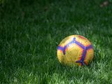 Il pallone