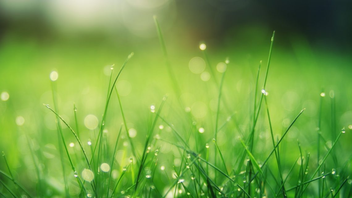 I risultati del 6 e del 7 aprile 2019