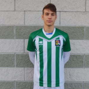 Mirko Vigorelli