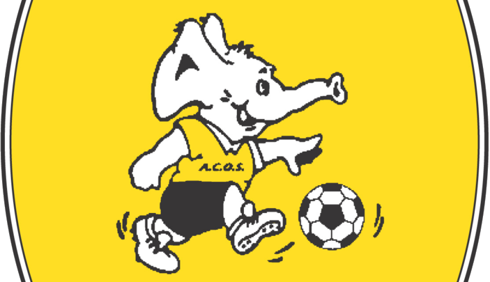 A.C.O.S. Treviglio