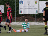 Barone a terra